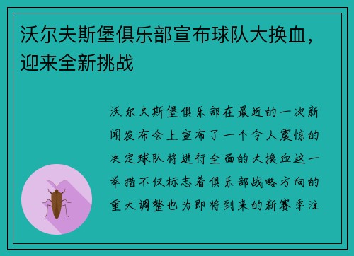 沃尔夫斯堡俱乐部宣布球队大换血，迎来全新挑战