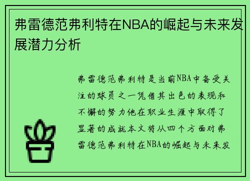 弗雷德范弗利特在NBA的崛起与未来发展潜力分析