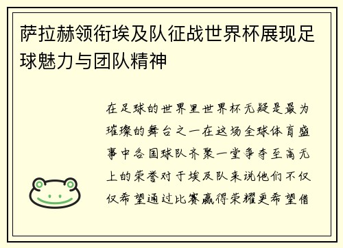 萨拉赫领衔埃及队征战世界杯展现足球魅力与团队精神