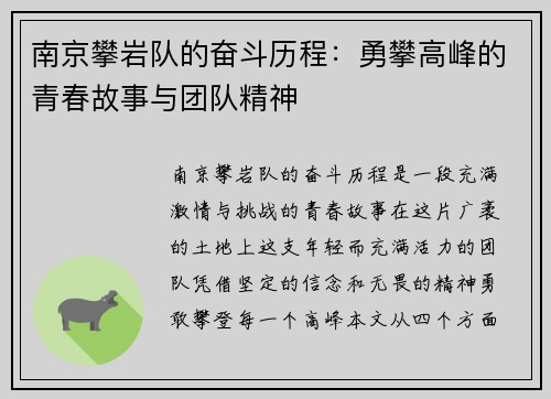 南京攀岩队的奋斗历程：勇攀高峰的青春故事与团队精神